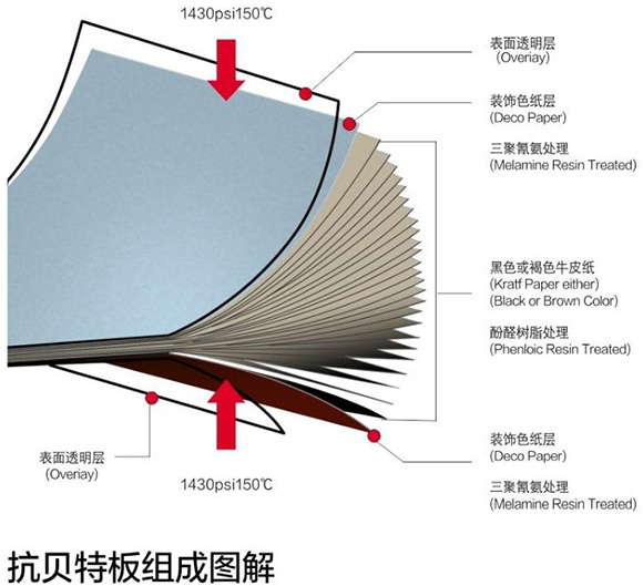 绿巨人网站下载抗倍特板组成图解